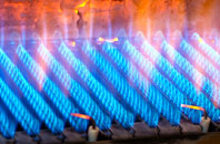 Egton Bridge gas fired boilers